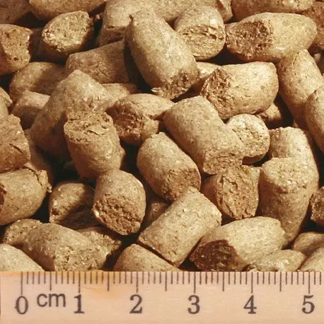 405272_Krokettenform_Rund_800x800 No.81 Rindfleisch mit Vollkorn