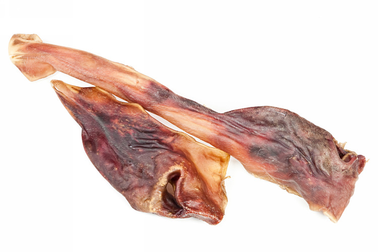 Rindernasen Rindernasen