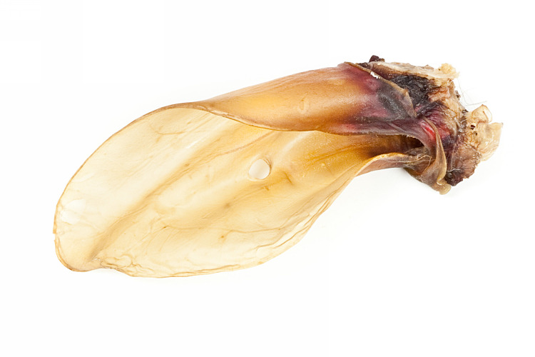 Rinderohren geputzt groß mit Muschel Rinderohren geputzt groß mit Muschel