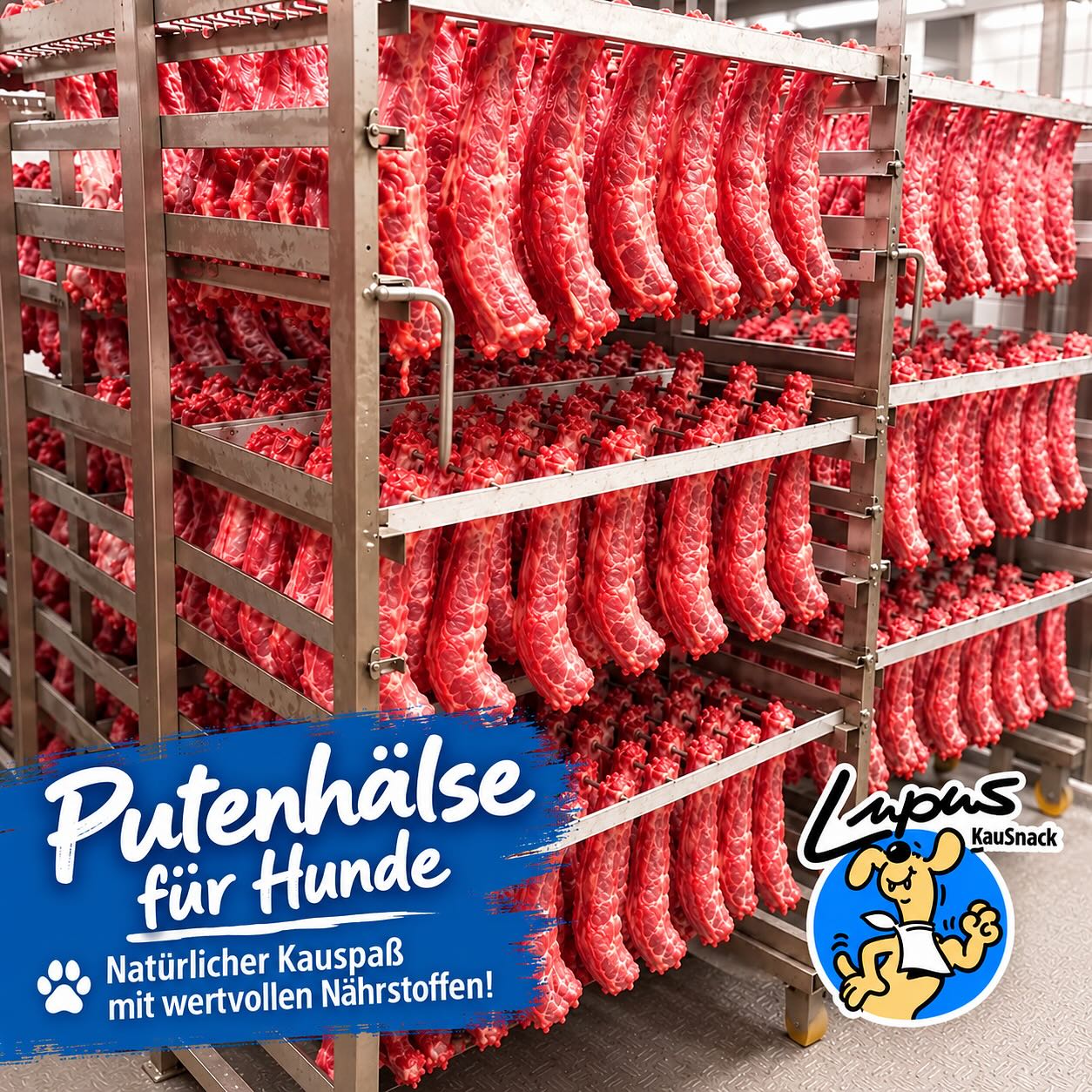 🐾🎅 VORANKÜNDIGUNG – BALD WIEDER ERHÄLTLICH! 🎁🐶 Gute Nachrichten für alle Fellnasen! 😍 Unsere Lupus 